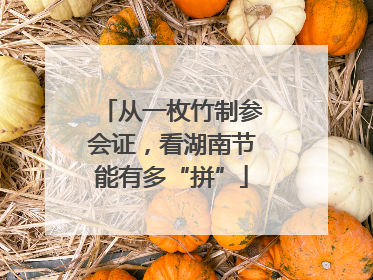 从一枚竹制参会证，看湖南节能有多“拼”