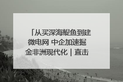 从买深海鳀鱼到建微电网 中企加速掘金非洲现代化｜直击中非经贸博览会