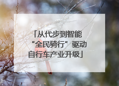 从代步到智能 “全民骑行”驱动自行车产业升级