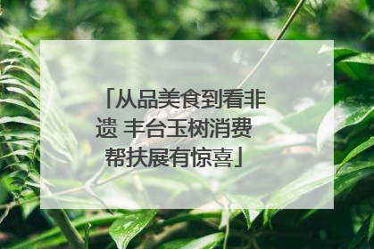 从品美食到看非遗 丰台玉树消费帮扶展有惊喜