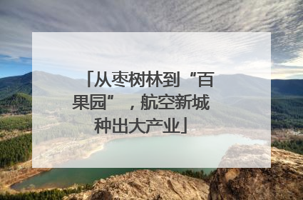 从枣树林到“百果园”，航空新城种出大产业