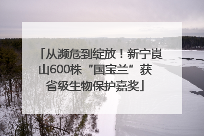 从濒危到绽放！新宁崀山600株“国宝兰”获省级生物保护嘉奖
