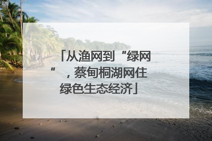 从渔网到“绿网”，蔡甸桐湖网住绿色生态经济