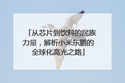 从芯片到饮料的民族力量，解析小米东鹏的全球化高光之路