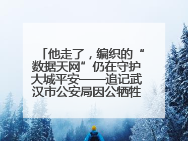 他走了，编织的“数据天网”仍在守护大城平安——追记武汉市公安局因公牺牲民警万松