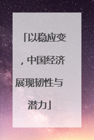 以稳应变，中国经济展现韧性与潜力