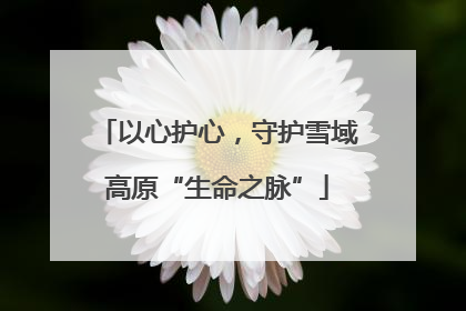 以心护心，守护雪域高原“生命之脉”