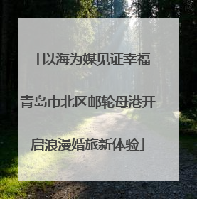 以海为媒见证幸福 青岛市北区邮轮母港开启浪漫婚旅新体验