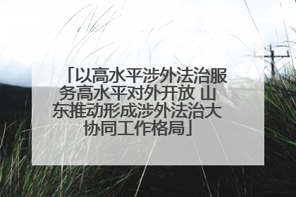 以高水平涉外法治服务高水平对外开放 山东推动形成涉外法治大协同工作格局