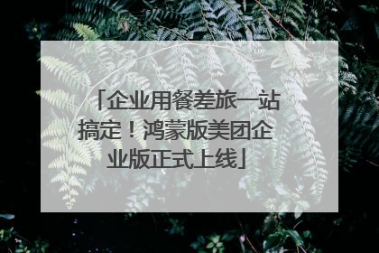 企业用餐差旅一站搞定！鸿蒙版美团企业版正式上线