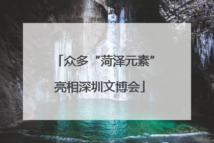 众多“菏泽元素”亮相深圳文博会