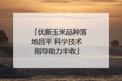 优新玉米品种落地昌平 科学技术指导助力丰收