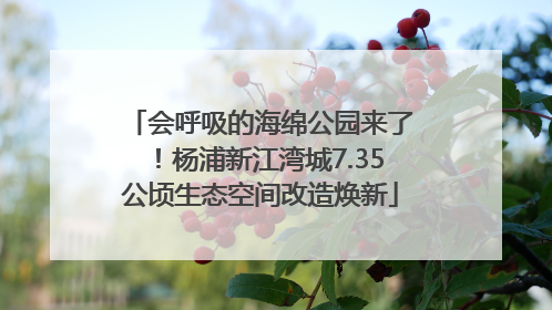 会呼吸的海绵公园来了！杨浦新江湾城7.35公顷生态空间改造焕新
