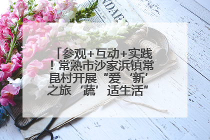 参观+互动+实践！常熟市沙家浜镇常昆村开展“爱‘新’之旅‘蔬’适生活”参观学习活动