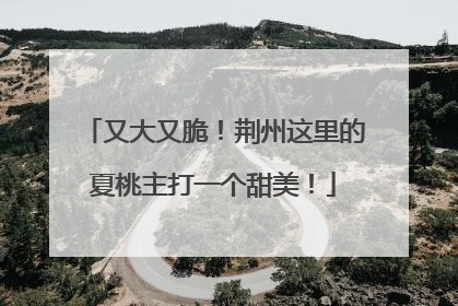 又大又脆！荆州这里的夏桃主打一个甜美！