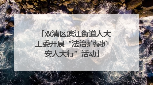 双清区滨江街道人大工委开展“法治护绿护安人大行”活动