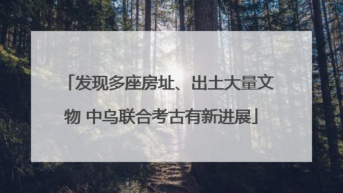 发现多座房址、出土大量文物 中乌联合考古有新进展