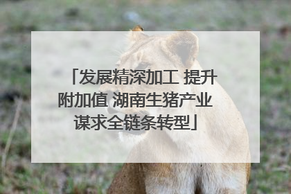 发展精深加工 提升附加值 湖南生猪产业谋求全链条转型