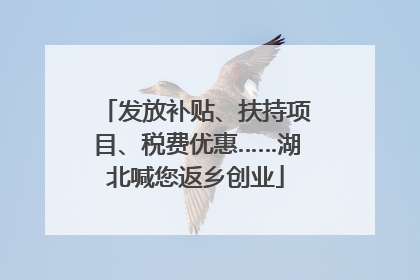 发放补贴、扶持项目、税费优惠……湖北喊您返乡创业