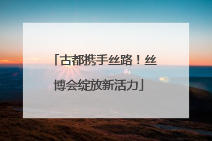 古都携手丝路！丝博会绽放新活力