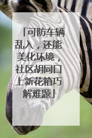 可防车辆乱入，还能美化环境，社区胡同口上新花箱巧解难题