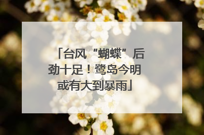台风“蝴蝶”后劲十足！鹭岛今明或有大到暴雨