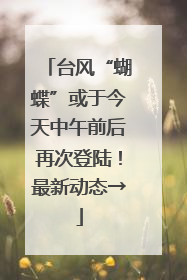 台风“蝴蝶”或于今天中午前后再次登陆！最新动态→