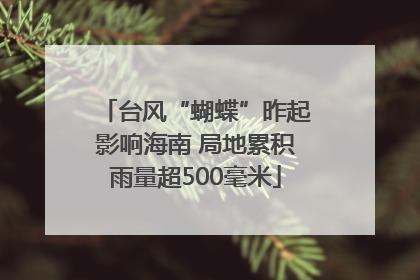 台风“蝴蝶”昨起影响海南 局地累积雨量超500毫米