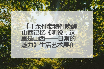 千余件老物件唤醒山西记忆《听说，这里是山西——日常的魅力》生活艺术展在忻州市图书馆开展