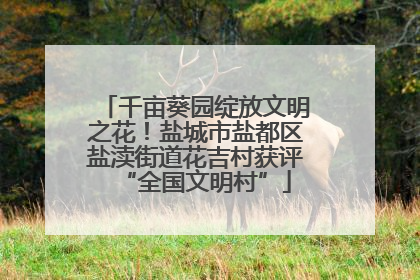 千亩葵园绽放文明之花！盐城市盐都区盐渎街道花吉村获评“全国文明村”