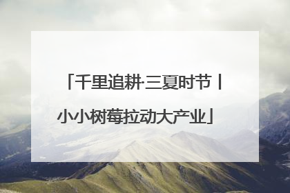 千里追耕·三夏时节丨小小树莓拉动大产业