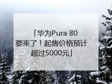 华为Pura 80要来了！起售价格预计超过5000元