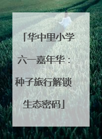 华中里小学六一嘉年华：种子旅行解锁生态密码