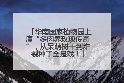华南国家植物园上演“多肉界玫瑰传奇”，从呆萌树干到炸裂种子全是戏！