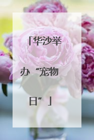 华沙举办“宠物日”