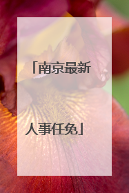 南京最新人事任免