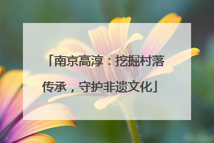 南京高淳：挖掘村落传承，守护非遗文化