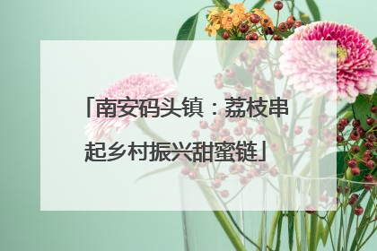 南安码头镇：荔枝串起乡村振兴甜蜜链
