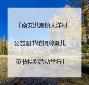 南安洪濑镇大洋村公益图书馆揭牌暨儿童节特别活动举行