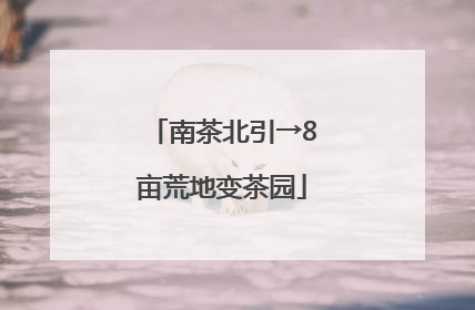 南茶北引→8亩荒地变茶园