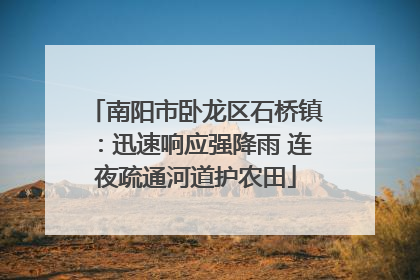 南阳市卧龙区石桥镇：迅速响应强降雨 连夜疏通河道护农田
