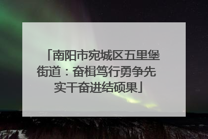 南阳市宛城区五里堡街道：奋楫笃行勇争先 实干奋进结硕果