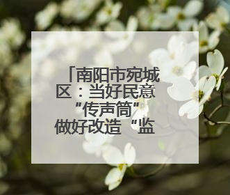 南阳市宛城区：当好民意“传声筒” 做好改造“监督员”