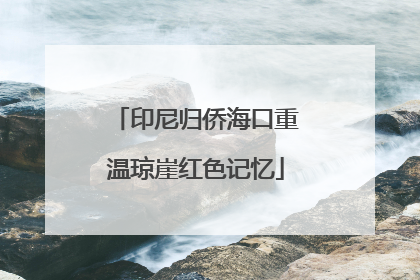 印尼归侨海口重温琼崖红色记忆