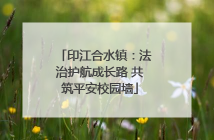 印江合水镇：法治护航成长路 共筑平安校园墙