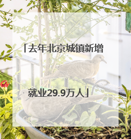 去年北京城镇新增就业29.9万人