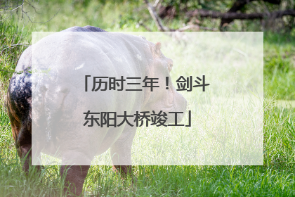 历时三年！剑斗东阳大桥竣工