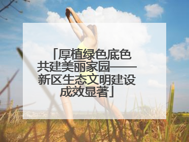 厚植绿色底色 共建美丽家园——新区生态文明建设成效显著