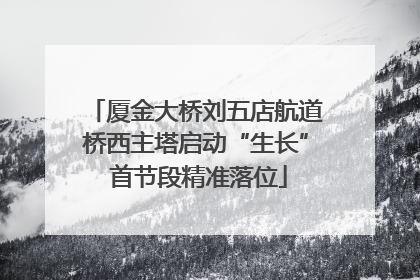 厦金大桥刘五店航道桥西主塔启动“生长” 首节段精准落位