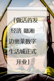 做活首发经济 赣湘边奥莱数字生活城正式开业
